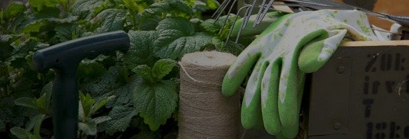 retail-garden-banner-2